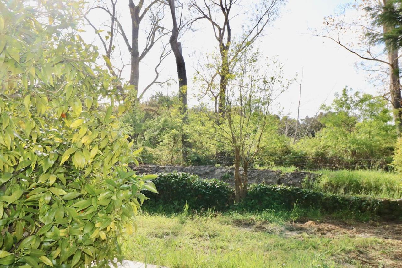 Gites Terra Di A Bravona Linguizzetta 外观 照片